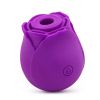 CR-OMYSKY private fun, meet, suck, vibrating egg, purple