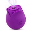 CR-OMYSKY private fun, meet, suck, vibrating egg, purple